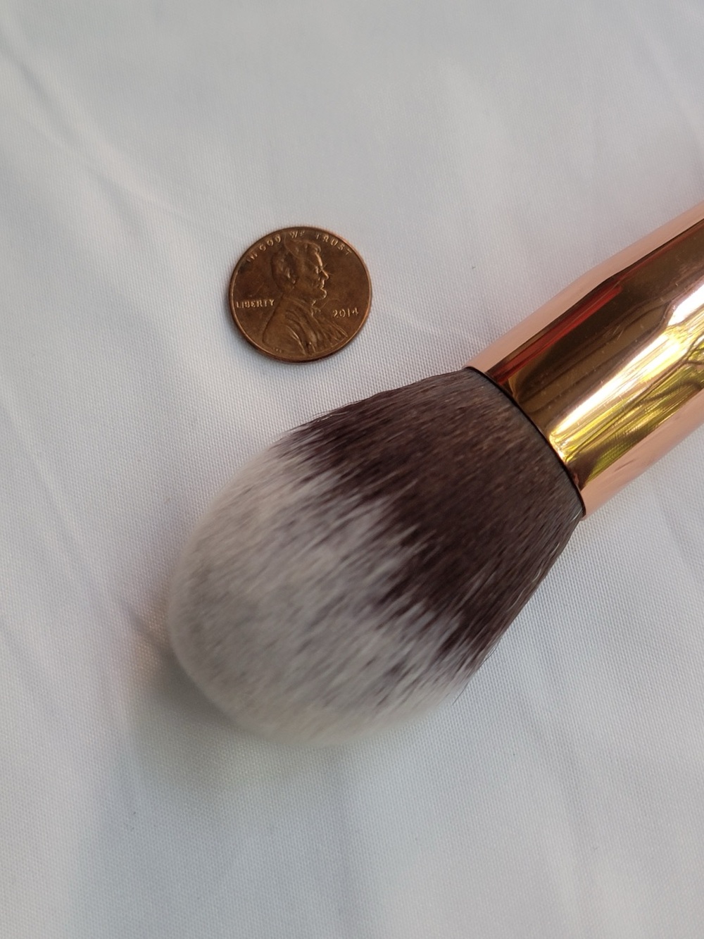 MOTD A Perfect 10 brush